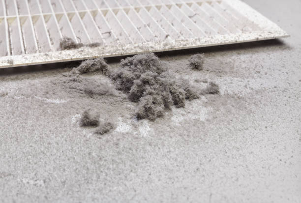 Best Air Vent Cleaning Services  in Seguin, TX